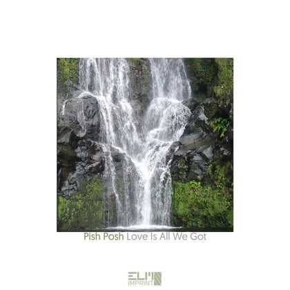 Love Is All We Got album by Pish Posh - Drum and Bass Cover Art