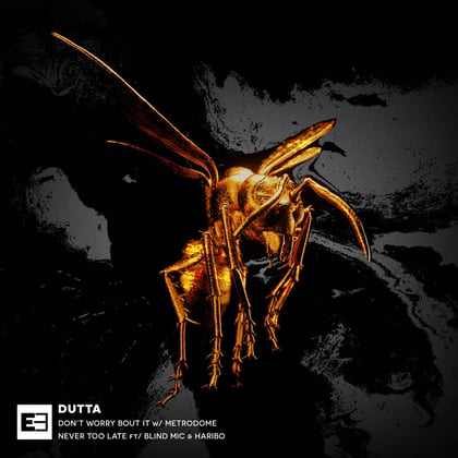 Don't Worry Bout It / Never Too Late album by Decoder & Dutta - Drum and Bass Cover Art