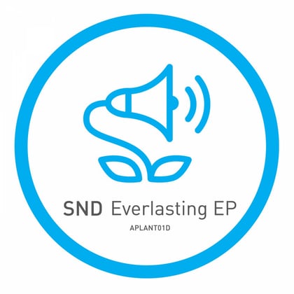 Everlasting EP album by SND - Drum and Bass Cover Art