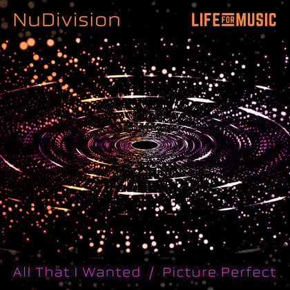 All That I Wanted / Picture Perfect album by NuDivision - Drum and Bass Cover Art