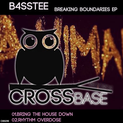 Breaking Boundaries EP album by B4ssTee - Drum and Bass Cover Art