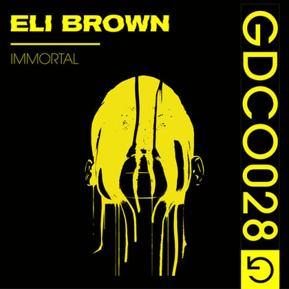 Immortal album by Sub Focus & Eli Brown - Drum and Bass Cover Art