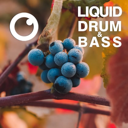Liquid Drum & Bass Sessions 2021 Vol 42 : The Mix album by Dreazz - Drum and Bass Cover Art