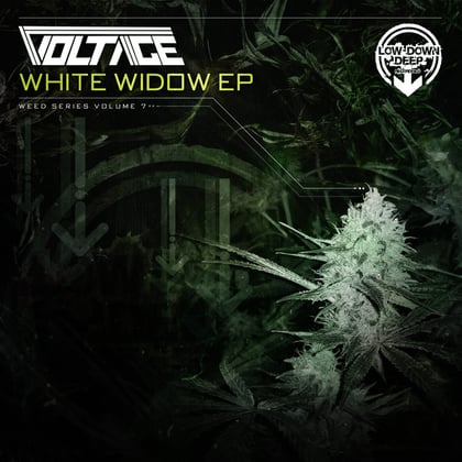 White Widow album by Dr Meaker & Voltage - Drum and Bass Cover Art