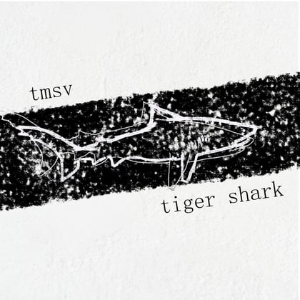 Tiger Shark album by TMSV - Drum and Bass Cover Art