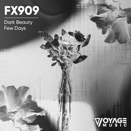Dark Beauty / Few Days album by MSDOS & FX909 - Drum and Bass Cover Art
