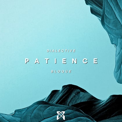 Patience album by Dialective & Bloque - Drum and Bass Cover Art