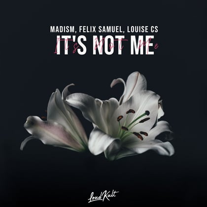 It's Not Me album by Vibe Chemistry, Madism, Felix Samuel & Louise CS - Drum and Bass Cover Art