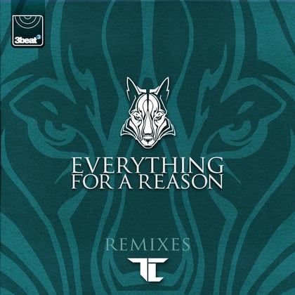 Everything For A Reason (Remixes) album by DJ Fresh & TC - Drum and Bass Cover Art