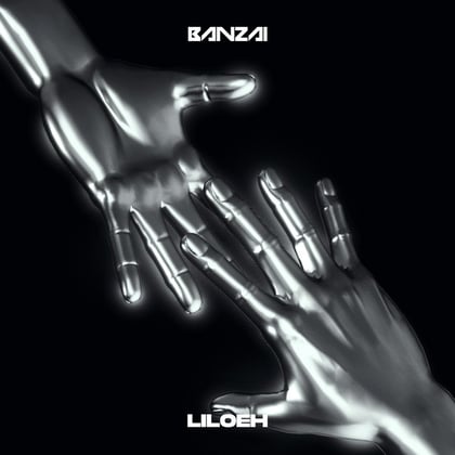 Liloeh album by Banzai - Drum and Bass Cover Art