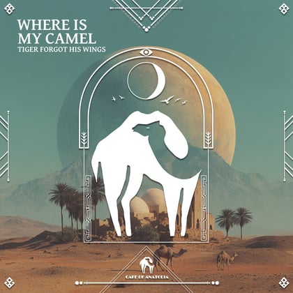 Where Is My Camel album by Tengu, Tiger Forgot His Wings & Cafe De Anatolia - Drum and Bass Cover Art