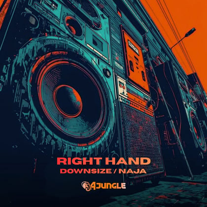 Downsize / Naja album by Right Hand - Drum and Bass Cover Art
