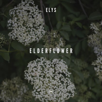 Elderflower album by Elys - Drum and Bass Cover Art