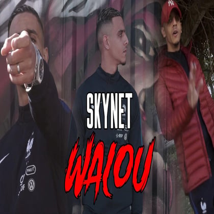 Walou album by Skynet - Drum and Bass Cover Art