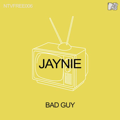 Bad Guy album by Jaynie - Drum and Bass Cover Art