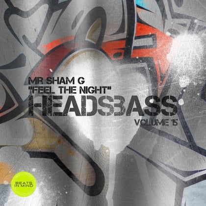 Feel The Night album by Mr. Sham G - Drum and Bass Cover Art
