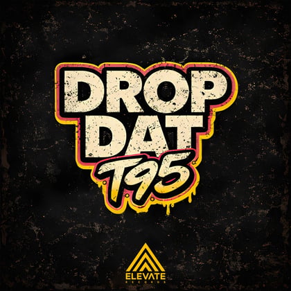 Drop Dat album by T95 - Drum and Bass Cover Art