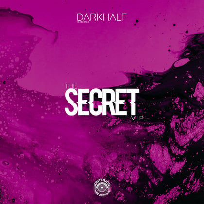 The Secret (Duoscience VIP) album by Duoscience - Drum and Bass Cover Art