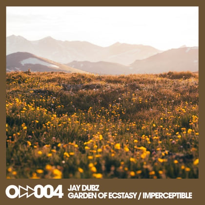 Garden of Ecstasy / Imperceptible album by Jay Dubz - Drum and Bass Cover Art