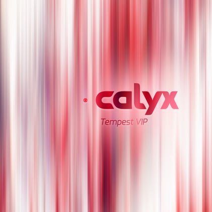 Tempest VIP album by Calyx - Drum and Bass Cover Art
