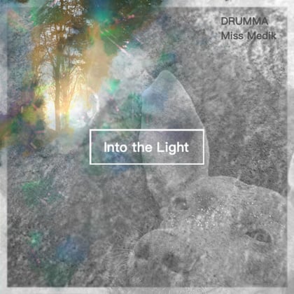 Into the Light album by DRUMMA & Miss Medik - Drum and Bass Cover Art