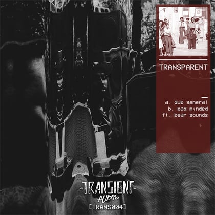 Dub General album by Transparent - Drum and Bass Cover Art
