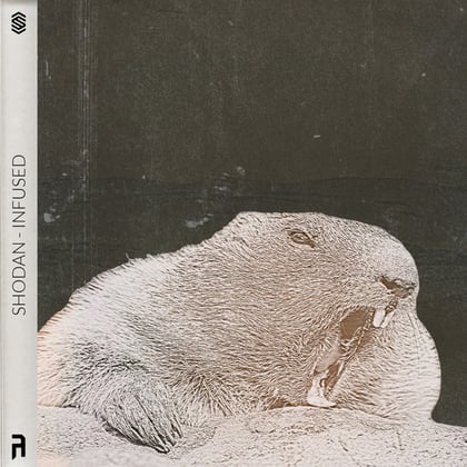 Infused album by Shodan - Drum and Bass Cover Art