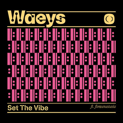 Set The Vibe album by Waeys - Drum and Bass Cover Art