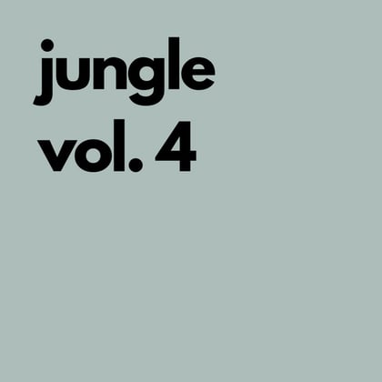 Jungle, Vol. 4 album by TMSV - Drum and Bass Cover Art