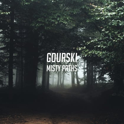 Misty Paths album by Gourski - Drum and Bass Cover Art