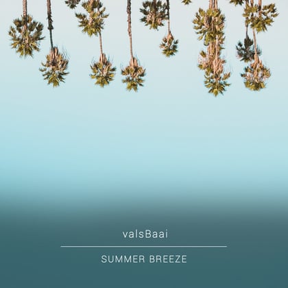 Summer Breeze album by valsBaai - Drum and Bass Cover Art
