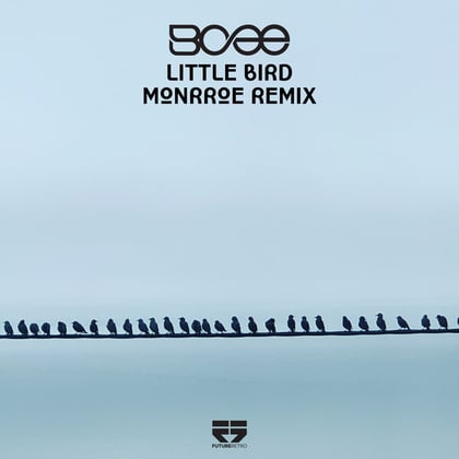 Little Bird (Monrroe Remix) album by Monrroe - Drum and Bass Cover Art