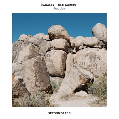 Gucokia album by Tengu & AMMERE - Drum and Bass Cover Art