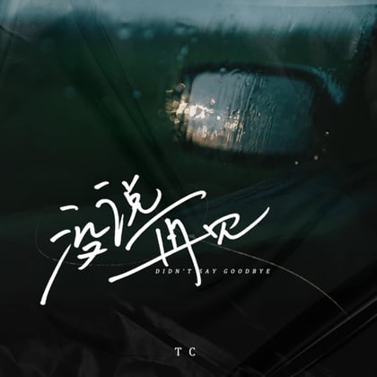 没说再见 album by TC - Drum and Bass Cover Art