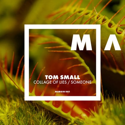 Collage of Lies / Someone album by Tom Small - Drum and Bass Cover Art