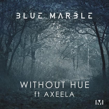 Without Hue album by Blue Marble - Drum and Bass Cover Art