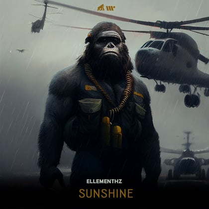 Sunshine album by Ellementhz - Drum and Bass Cover Art