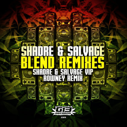 Blend Remixes album by Shadre & Salvage - Drum and Bass Cover Art