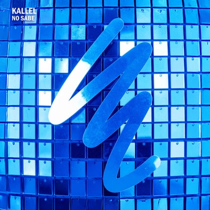 No Sabe album by Kallel (BR) - Drum and Bass Cover Art