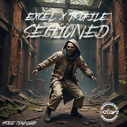 Sectioned album by Profile - Drum and Bass Cover Art