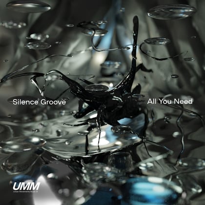 All You Need album by Silence Groove - Drum and Bass Cover Art