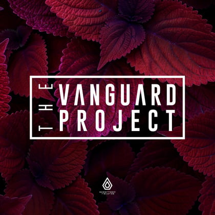 Gentle album by The Vanguard Project - Drum and Bass Cover Art
