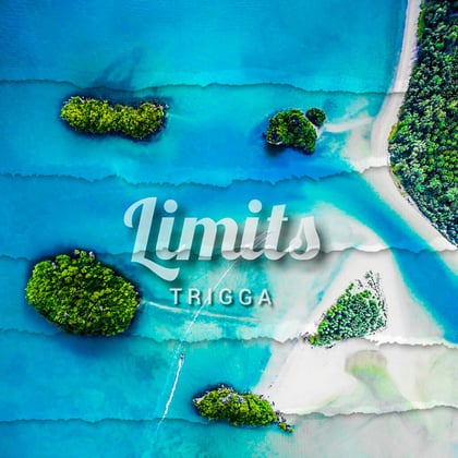 Limits album by Trigga - Drum and Bass Cover Art