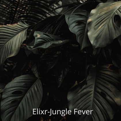 Jungle Fever album by Elixr & Toddlah - Drum and Bass Cover Art