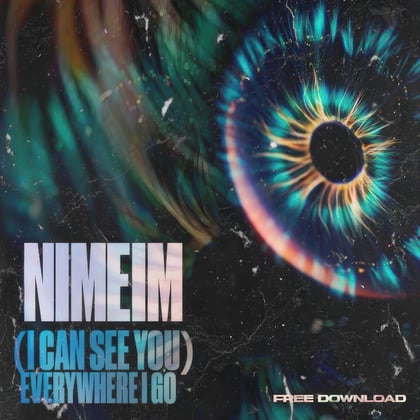 (I Can See You) Everywhere I Go album by Nimeim - Drum and Bass Cover Art