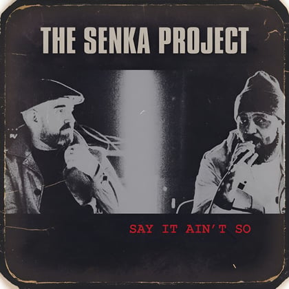 Say It Ain't So album by Dub Phizix, DRS & The Senka Project - Drum and Bass Cover Art