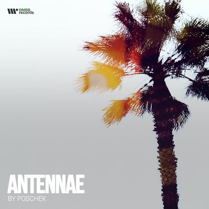 Antennae album by Poschek - Drum and Bass Cover Art
