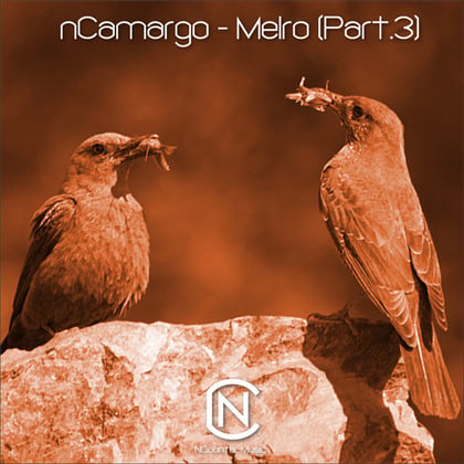 Melro, Pt. 3 album by nCamargo - Drum and Bass Cover Art