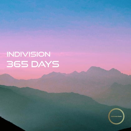 365 Days album by Indivision - Drum and Bass Cover Art