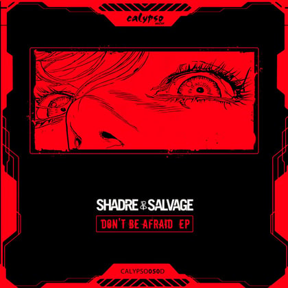 Don't Be Afraid EP album by Shadre & Salvage - Drum and Bass Cover Art